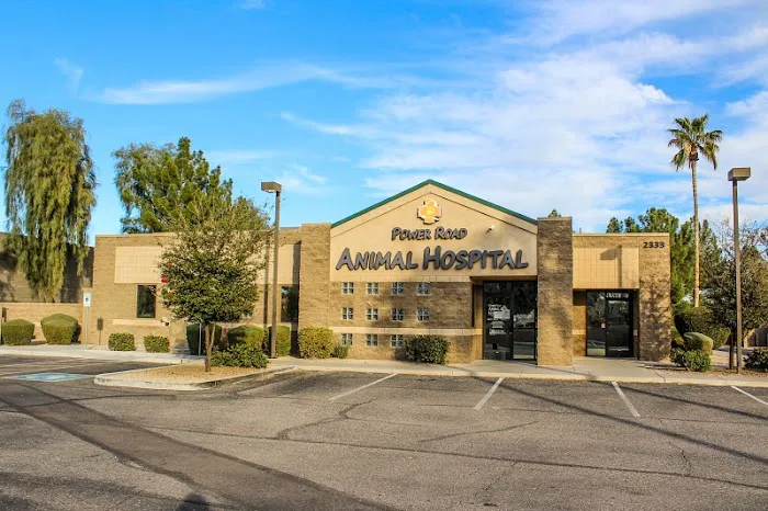 Power Road Animal Hospital Picture 2