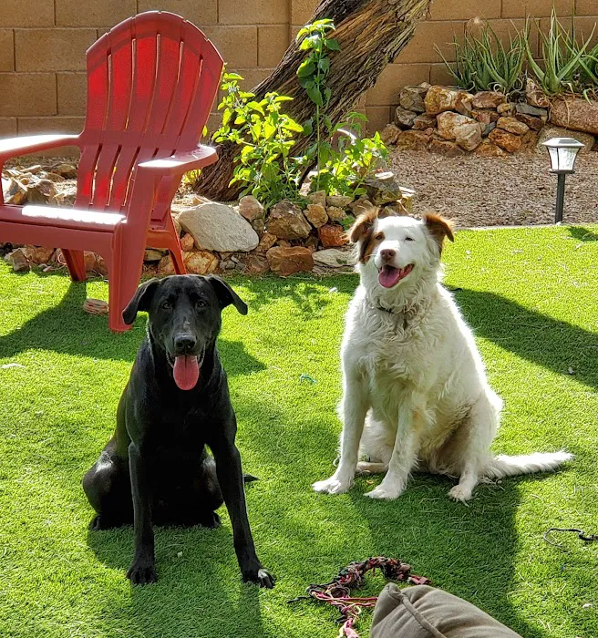 Power Road Animal Hospital Picture 7