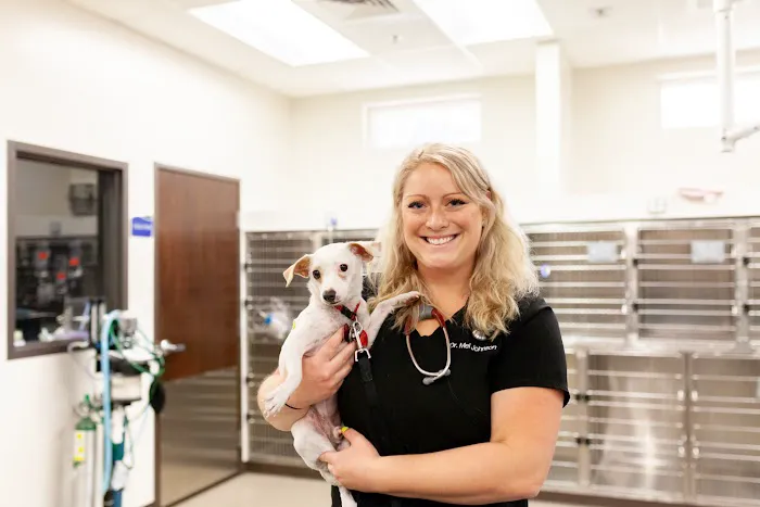 Power Road Animal Hospital Picture 8