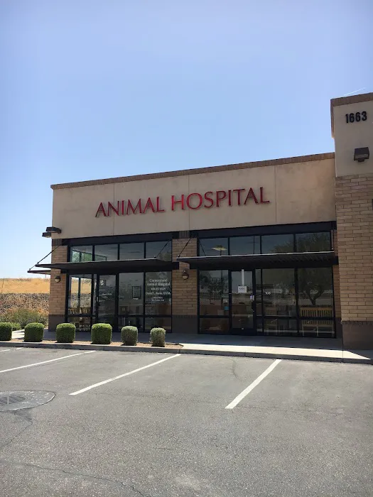 Cornerstone Animal Hospital Picture 9