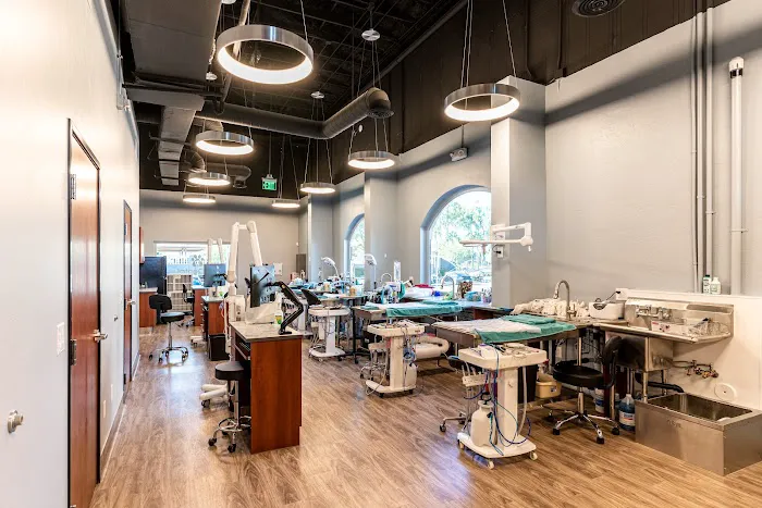 Pet Dental USA Picture 1