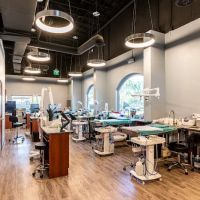 Pet Dental USA ico