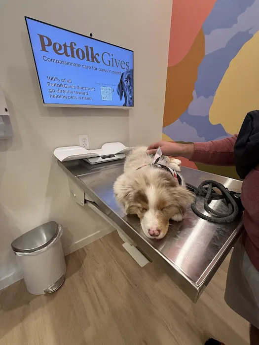 Petfolk Veterinary & Urgent Care - Scottsdale Picture 4