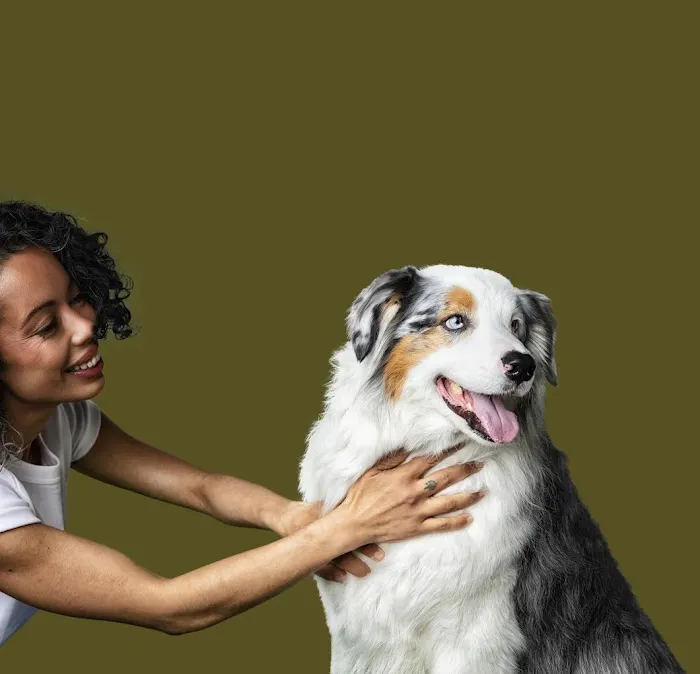 Petfolk Veterinary & Urgent Care - Scottsdale Picture 10