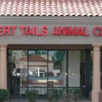 Desert Tails Animal Clinic ico