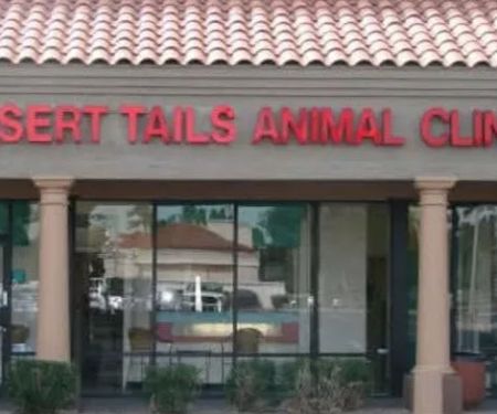 Desert Tails Animal Clinic