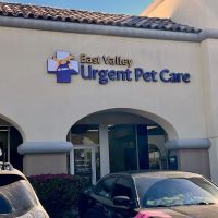 East Valley Urgent Pet Care ico