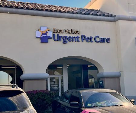 East Valley Urgent Pet Care