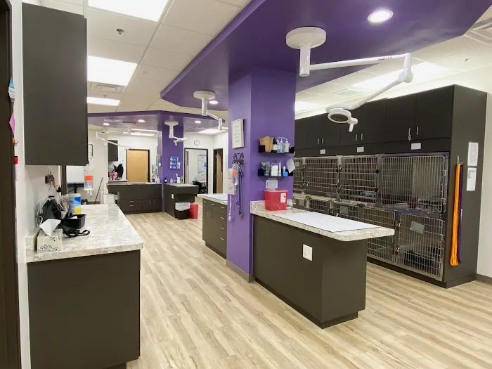East Valley Urgent Pet Care Picture 2
