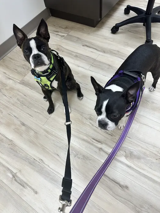 East Valley Urgent Pet Care Picture 5