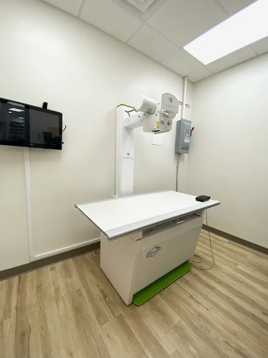 East Valley Urgent Pet Care Picture 6