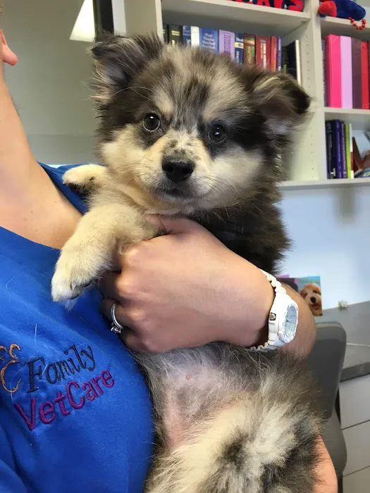 Family VetCare of Chandler Picture 9