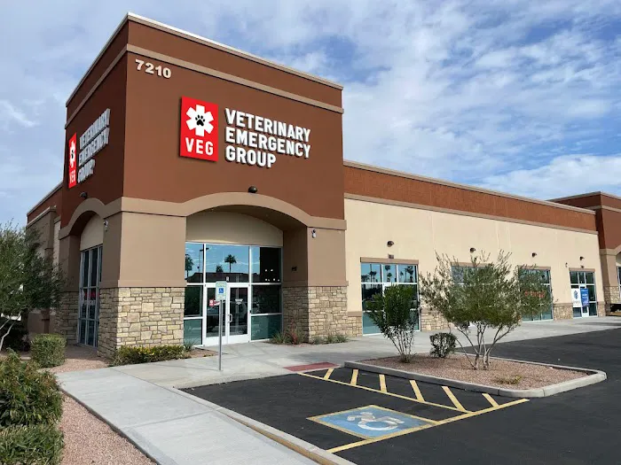 Veterinary Emergency Group Picture 2