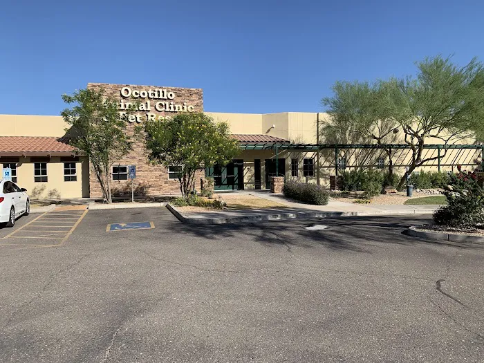Ocotillo Animal Clinic & Pet Resort Picture 6