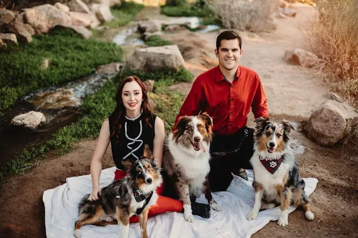Copper Mountain Animal Hospital Picture 9