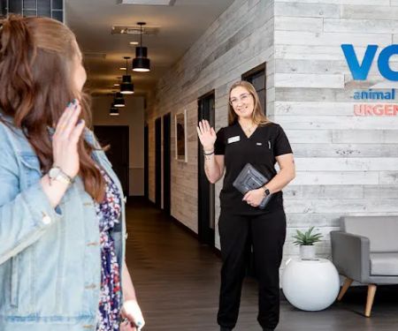 VCA Animal Hospitals Urgent Care - Chandler