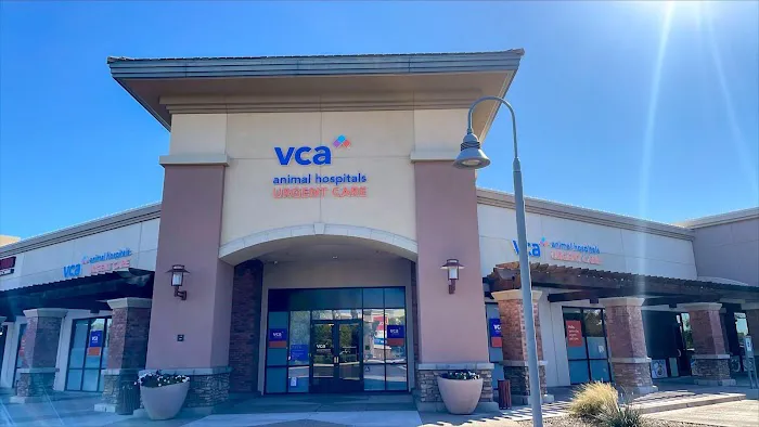 VCA Animal Hospitals Urgent Care - Chandler Picture 3