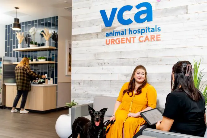 VCA Animal Hospitals Urgent Care - Chandler Picture 9