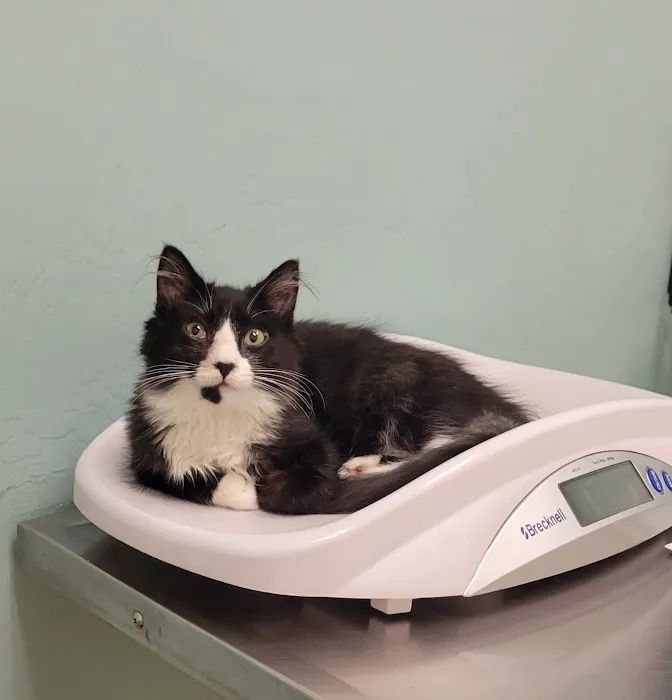 Crossroads Veterinary Hospital Picture 7