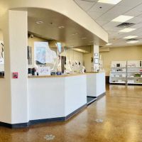 Chandler Gilbert Animal Hospital ico