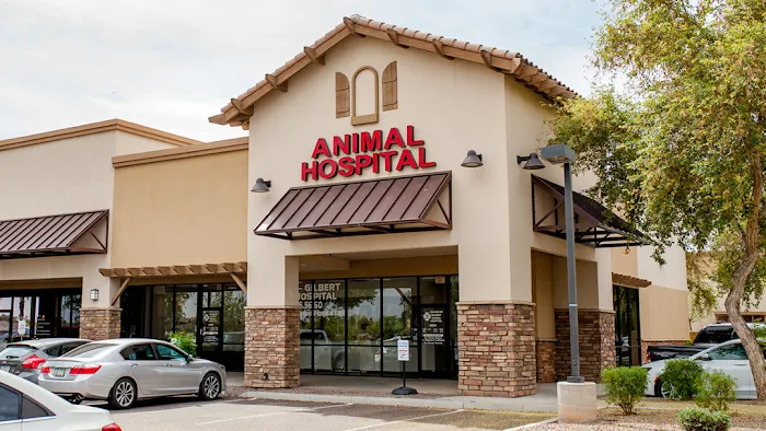 Chandler Gilbert Animal Hospital Picture 2