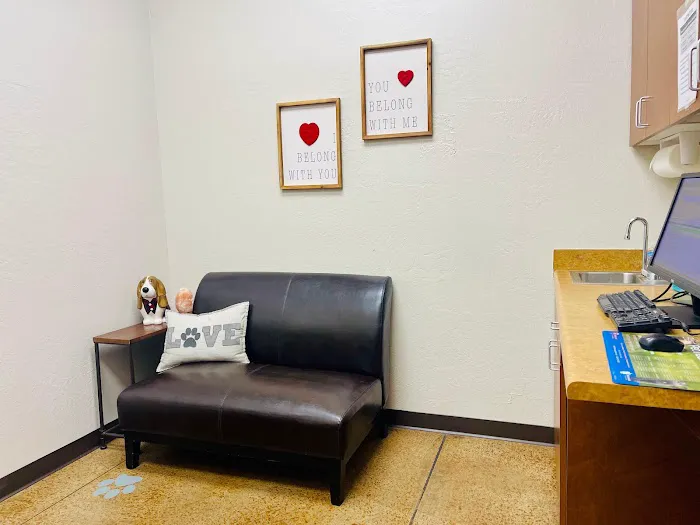 Chandler Gilbert Animal Hospital Picture 3