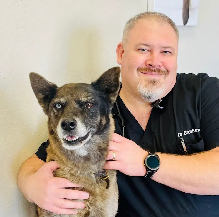 Chandler Gilbert Animal Hospital Picture 5