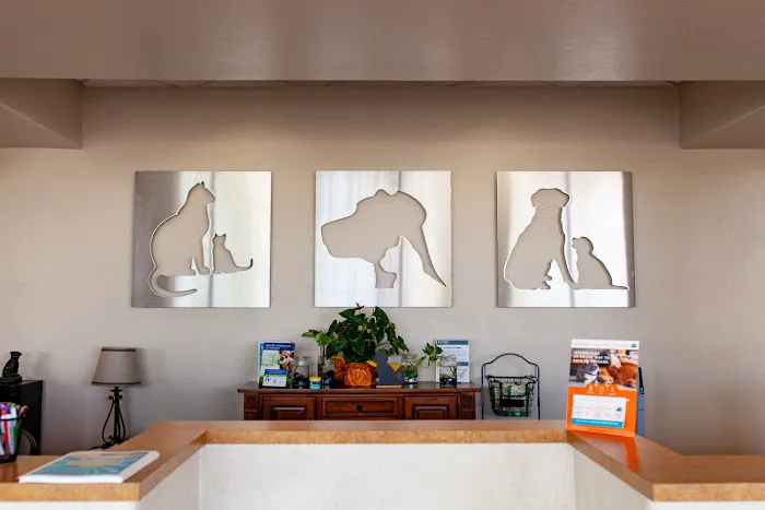 Chandler Gilbert Animal Hospital Picture 8