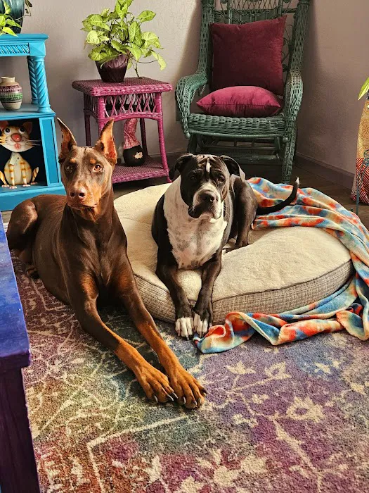 Kennel Care Veterinary Hospital Picture 10