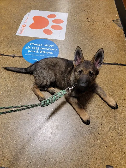 Banfield Pet Hospital Picture 8