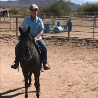 East Valley Equine Practitioners ico