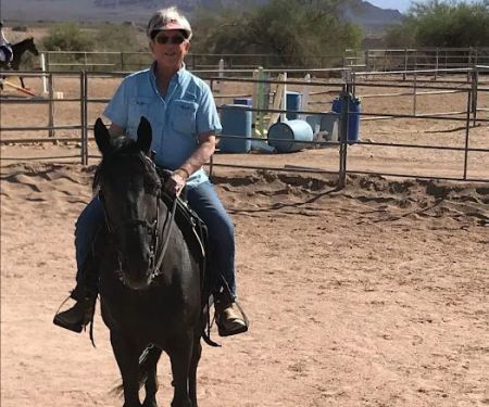 East Valley Equine Practitioners