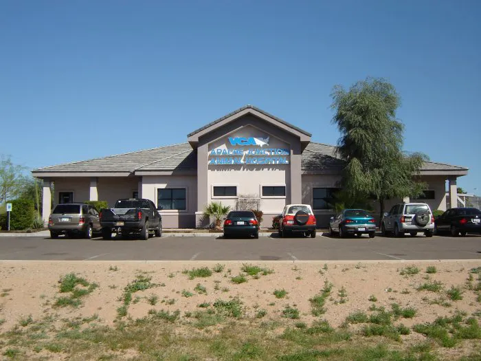 VCA Apache Junction Animal Hospital Picture 4