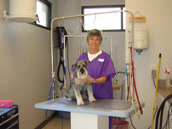 VCA Apache Junction Animal Hospital Picture 5