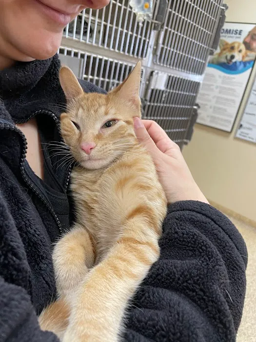 Arizona Spay & Neuter Clinic - Mesa (formerly Agape Animal Clinic) Picture 6