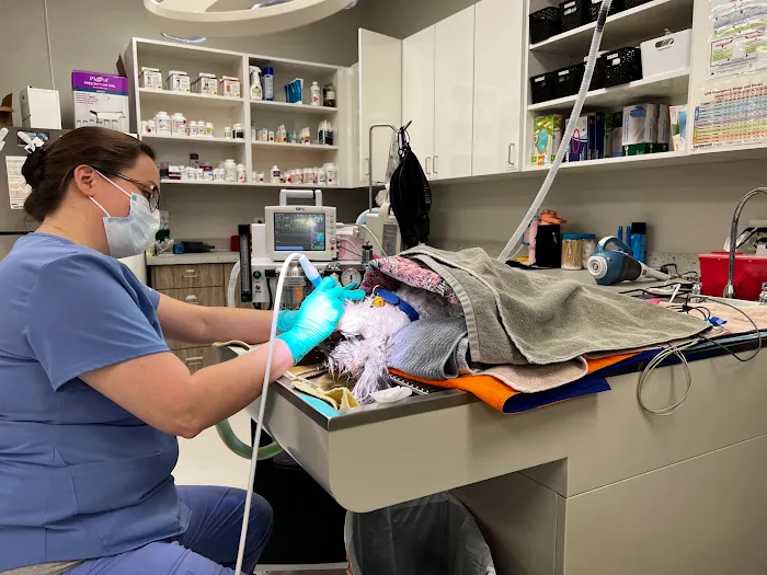 Dr. Kelly's Surgical Unit - East Mesa Picture 4