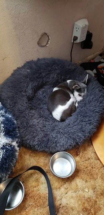 Banfield Pet Hospital Picture 6
