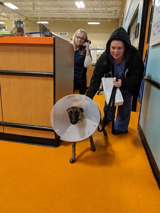 Banfield Pet Hospital Picture 9