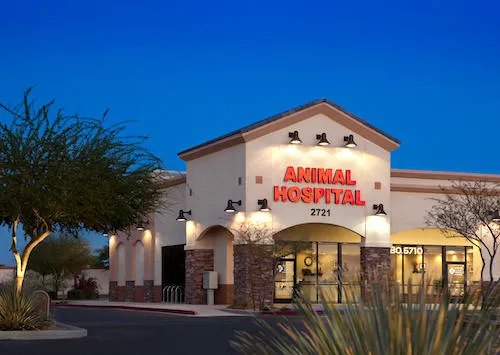 Augusta Ranch Animal Hospital Picture 1