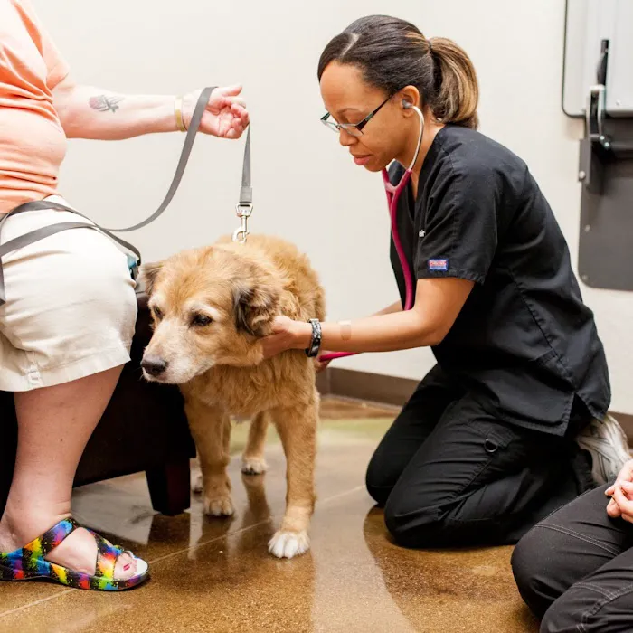Augusta Ranch Animal Hospital Picture 4