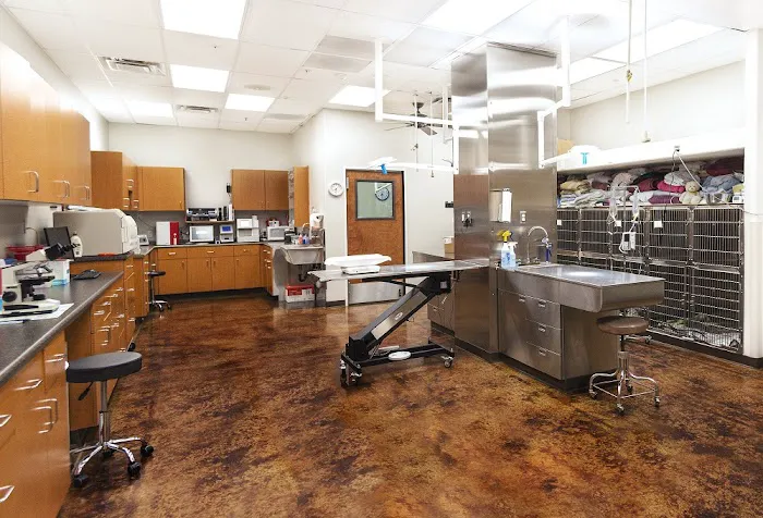Augusta Ranch Animal Hospital Picture 7