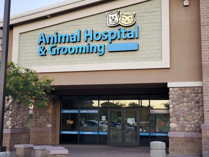 Lovet Pet Health Care - Signal Butte Picture 3