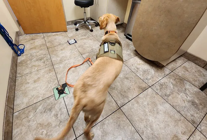 Lovet Pet Health Care - Signal Butte Picture 4