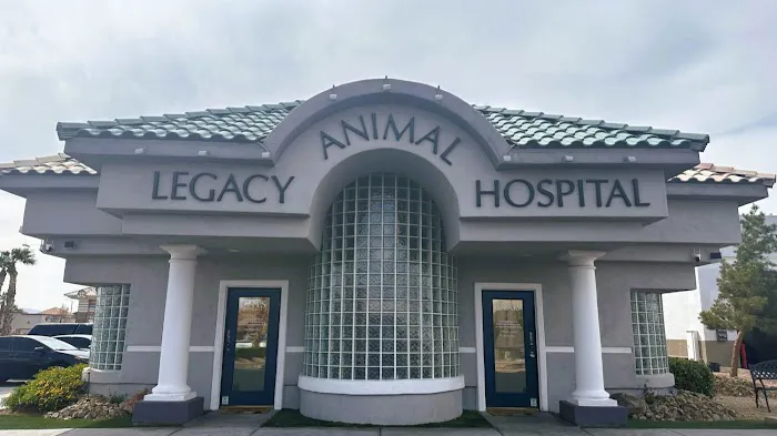 Legacy Animal Hospital Picture 3