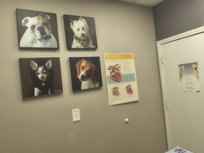 Legacy Animal Hospital Picture 5