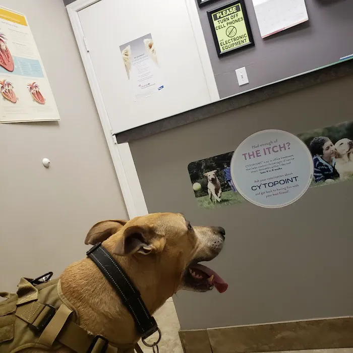 Legacy Animal Hospital Picture 6
