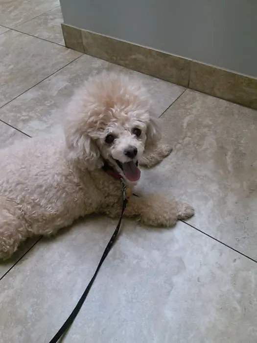 Legacy Animal Hospital Picture 9