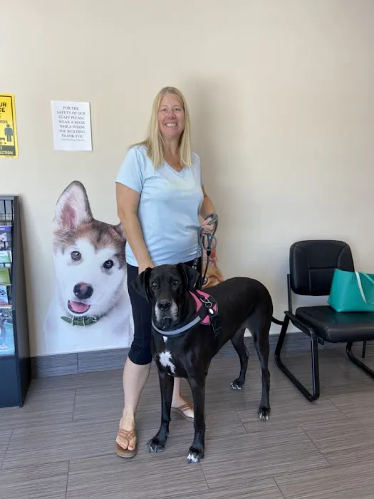 Animal Dermatology Clinic Picture 1