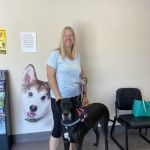 Animal Dermatology Clinic