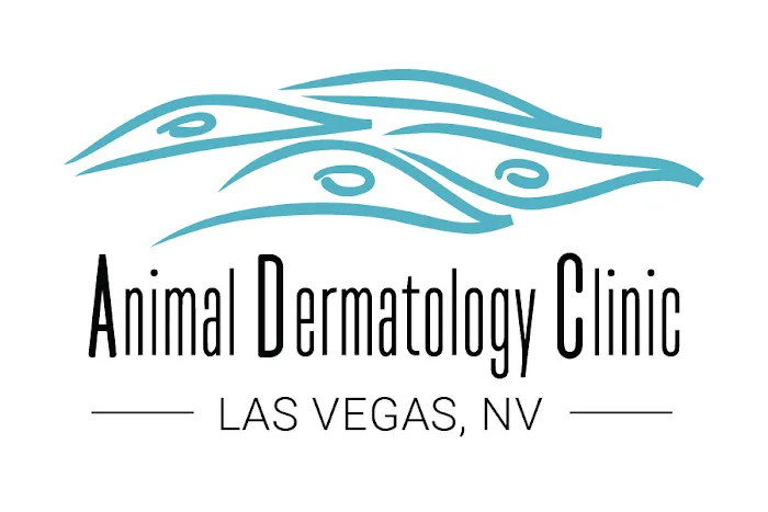 Animal Dermatology Clinic Picture 6